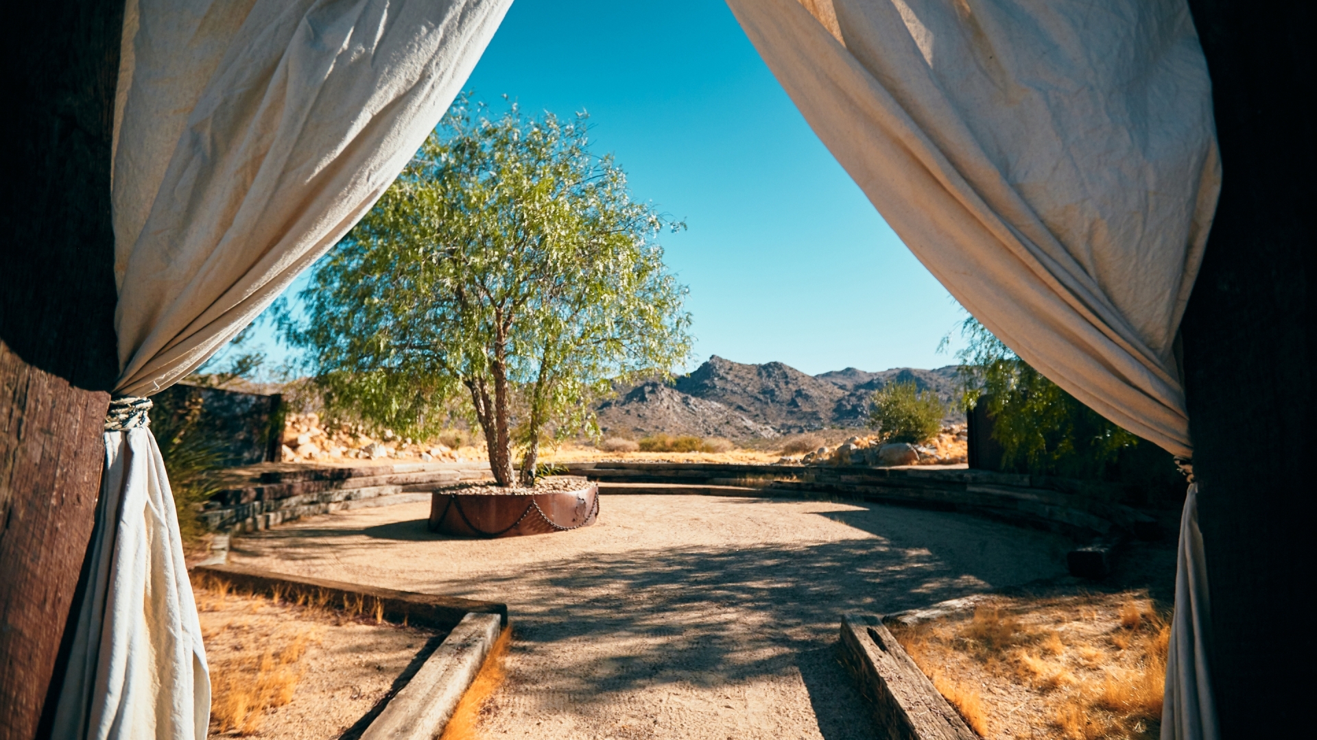 Your Magical Joshua Tree Getaway And Wedding Awaits